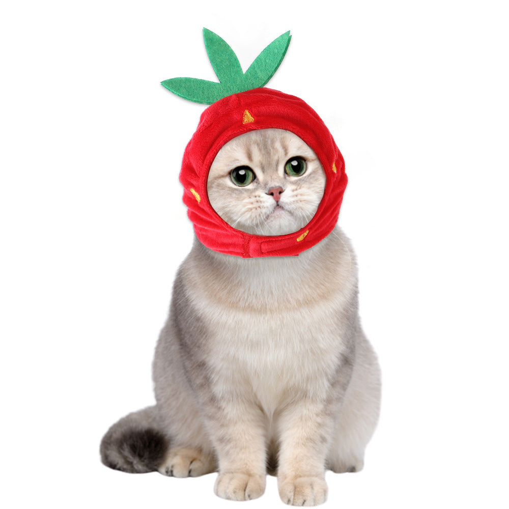 Chapeau de compagnie pour cheveux bouclés, chat, déguisement amusant, produits pour animaux de compagnie
