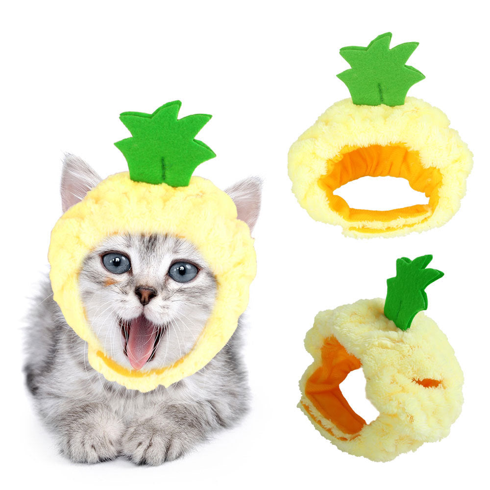 Chapeau de compagnie pour cheveux bouclés, chat, déguisement amusant, produits pour animaux de compagnie