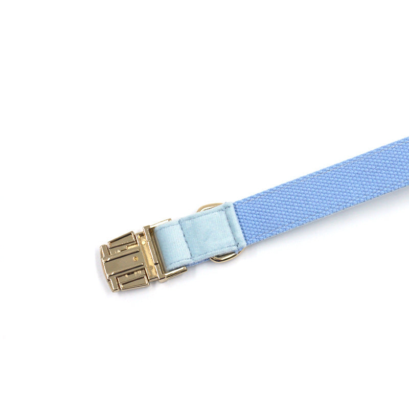 Sky Blue Velvet Gold Collar Leash Europe And America
