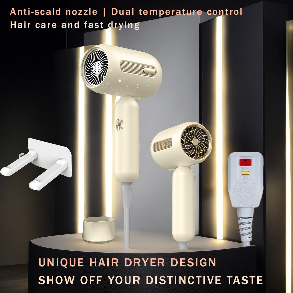 Standard Leakage Protection Speed Electric Hair Dryer Household High Power Quick-drying Constant Temperature