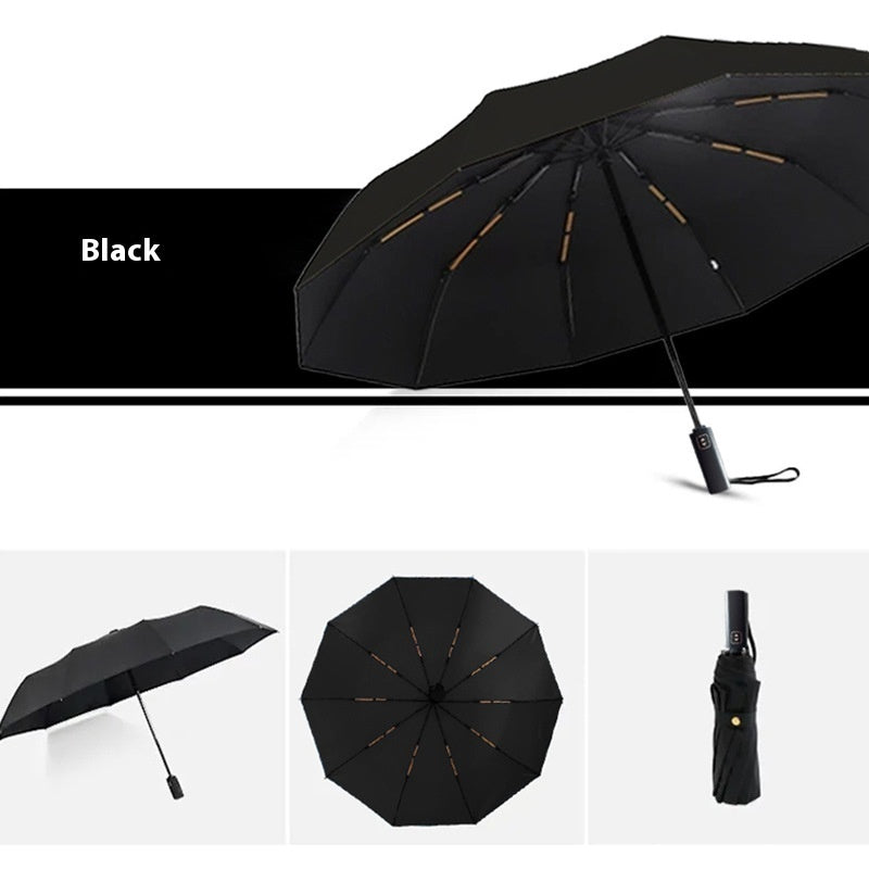 Double-layer Automatic 10-bone Double-bone Sunny Umbrella