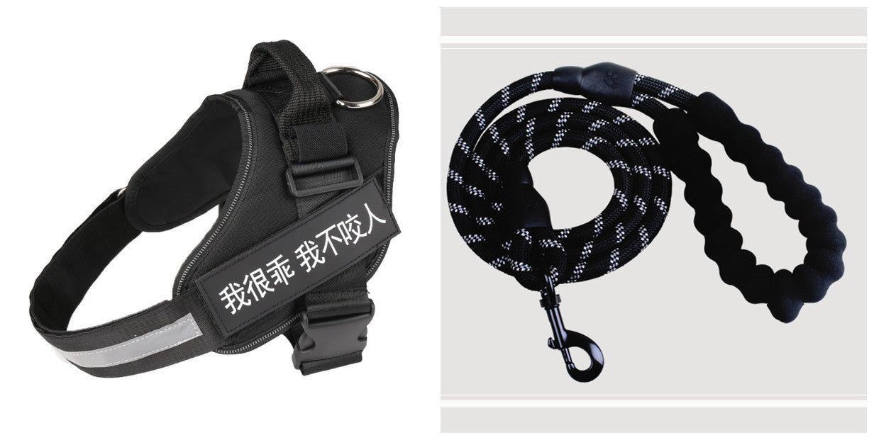 Ensemble Harnais et Laisse pour Animaux de Compagnie, Design Simple et Tendance