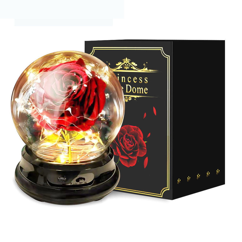 Fête des Mères Cadeau Fleurs Séchées Rose Éternelle Décoration Maison