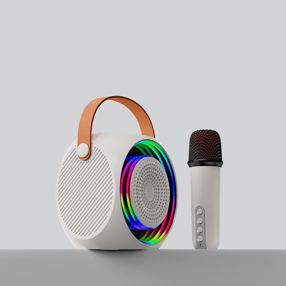 Mini Portable Microphone Audio Integrated