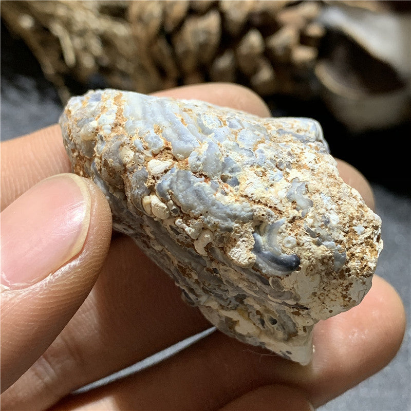Natural Agate Crystal Cave Cornucopia Raw Stone Ornament