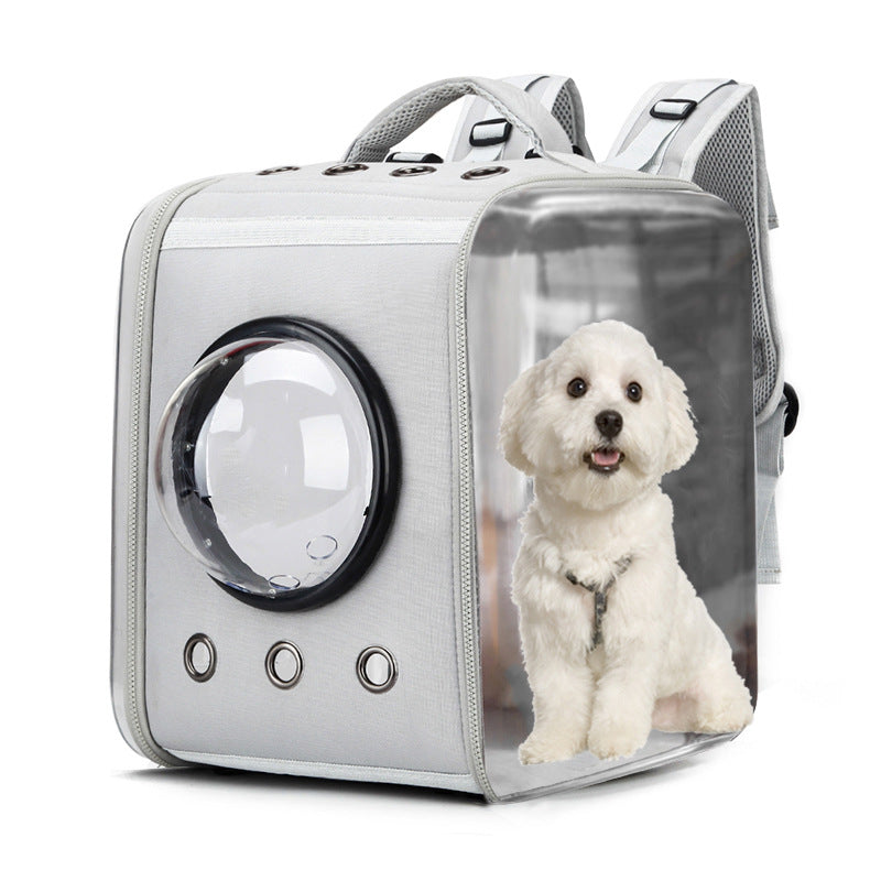 Nouveau sac de transport transparent pour chat en forme de capsule spatiale Sac de transport pliable en EVA pour animaux de compagnie