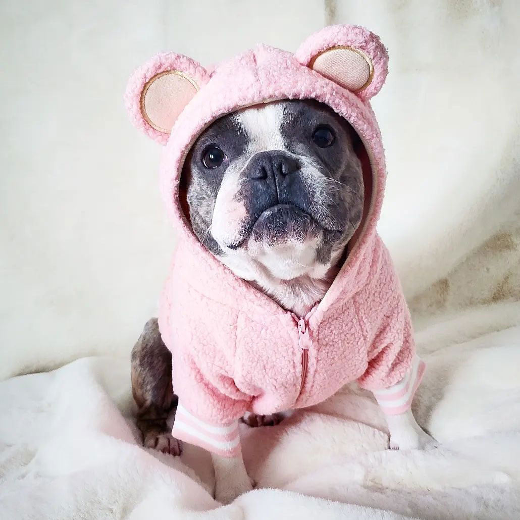 Marque de mode pour animaux de compagnie Pull chaud à capuche doublé polaire pour animaux