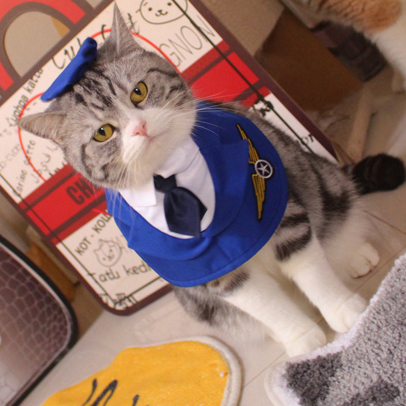 Collier de vêtements de combat personnalisés pour animaux de compagnie