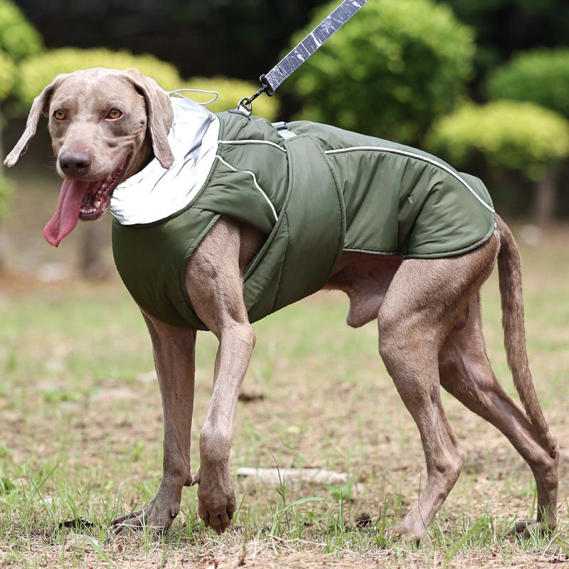 Vêtement en coton chaud pour chien