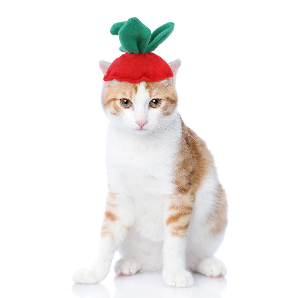 Chapeau de compagnie pour cheveux bouclés, chat, déguisement amusant, produits pour animaux de compagnie