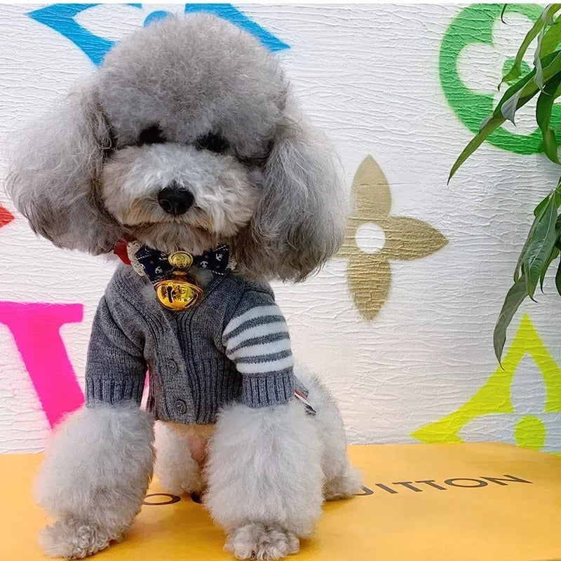 Vêtements pour chien de compagnie – cardigan pull