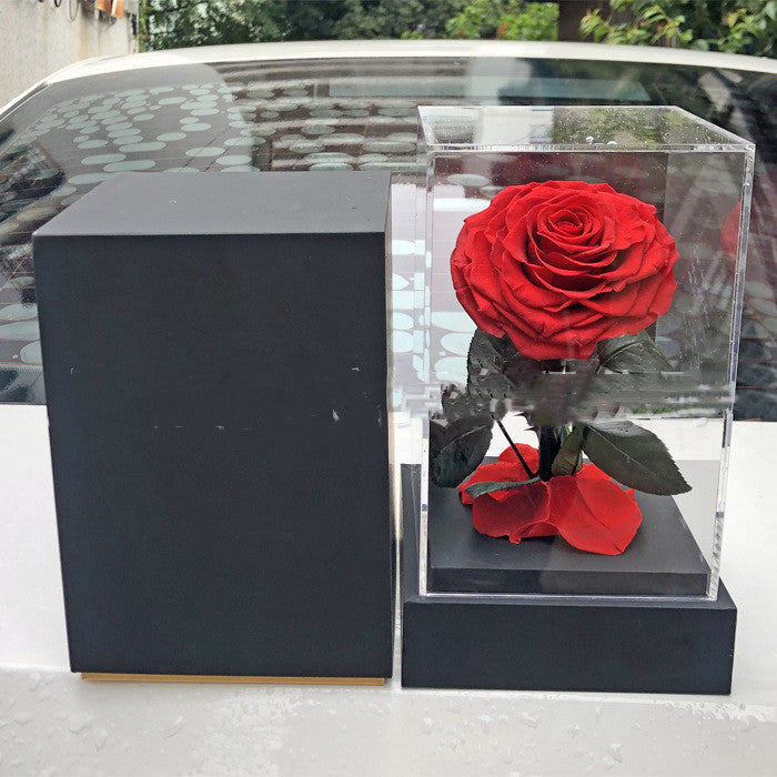 La Petite Princesse Tanabata Saint-Valentin Fleur Immortelle