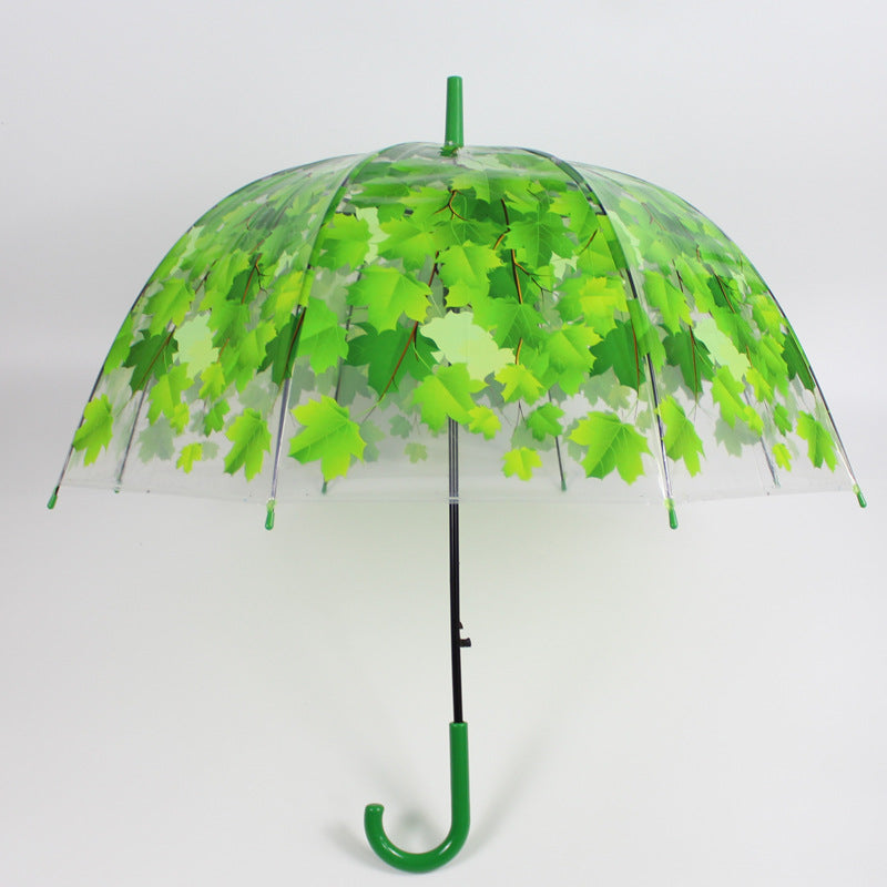 Parapluie Transparent à Long Manche, Parapluie Peint, Parapluie Feuille d'Érable