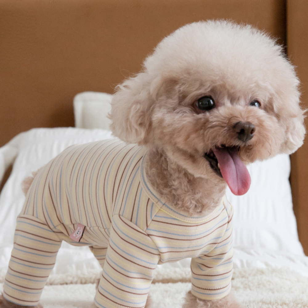 Vêtements pour chiens à quatre pattes