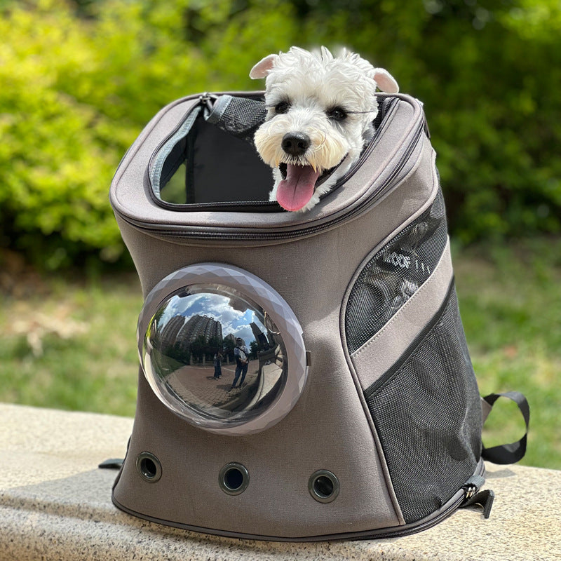 Cat And Dog Carrier Portable For Medium-sized Dogs Backpack Style