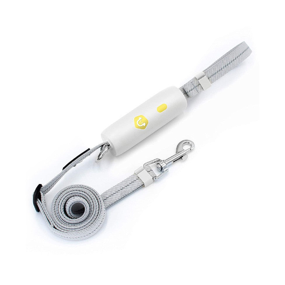 Laisse extensible pour petit et moyen chien, à tenir à la main