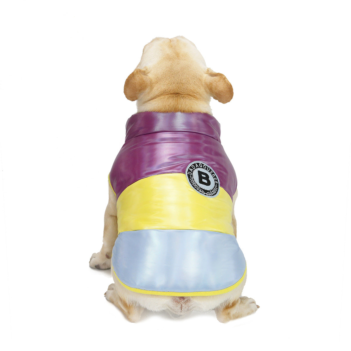 Costume de gilet en coton pour taureau de compagnie arc-en-ciel