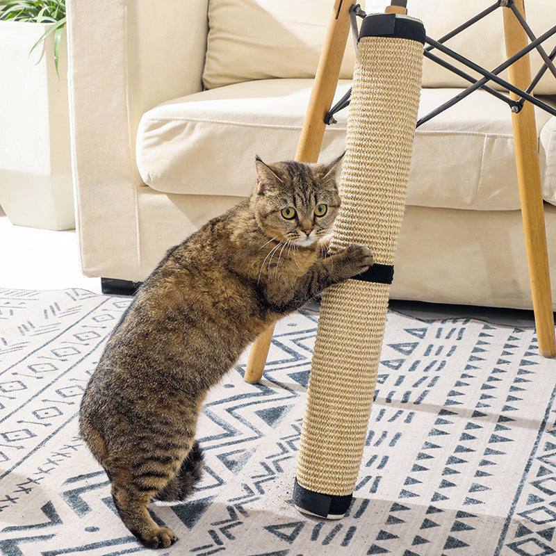 Jouet pour animaux de compagnie : Griffoir portatif pour chats