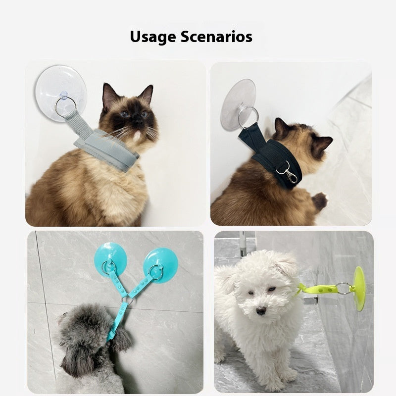 Porte-bain pour chat anti-rayures, anti-mutilation, éponge miracle pour animaux de compagnie, ciseaux à raser pour chat, fournitures de nettoyage des ongles