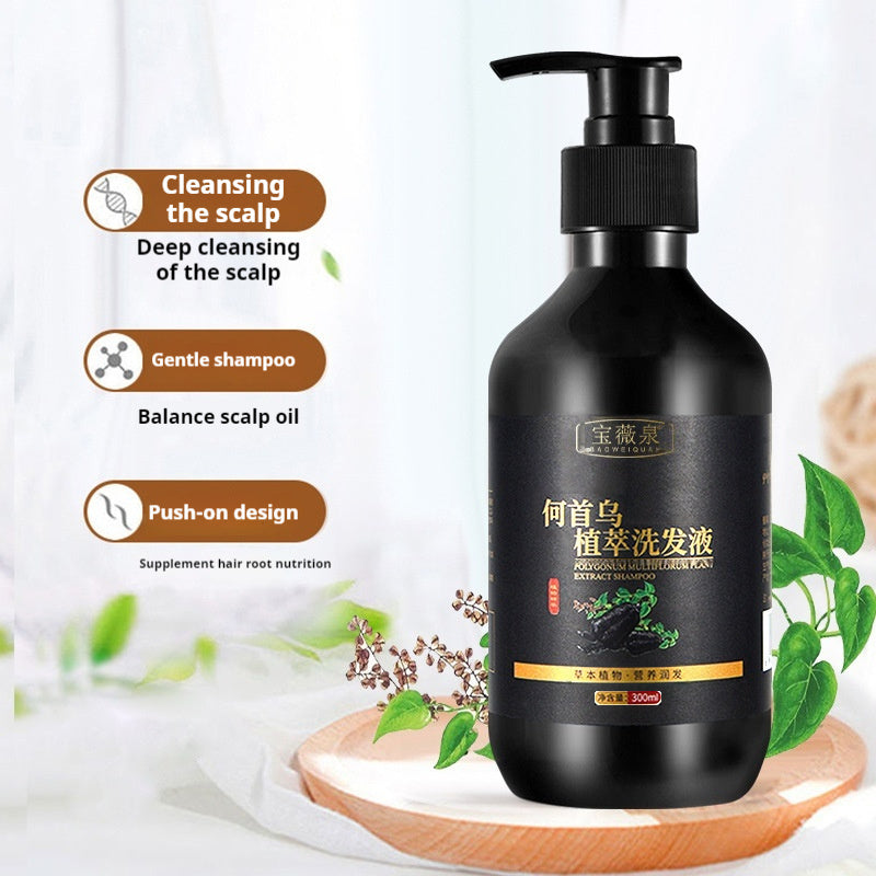 Shampooing aux herbes Polygonum Multiflorum pour le contrôle du sébum, antipelliculaire et apaisant les démangeaisons