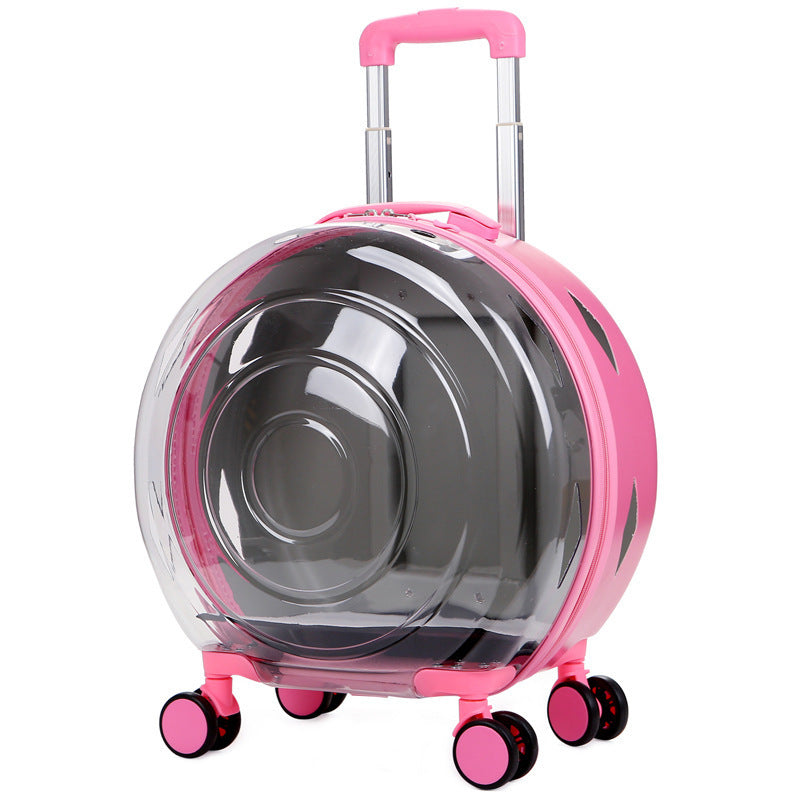 Sac de transport transparent portable pour animaux de compagnie