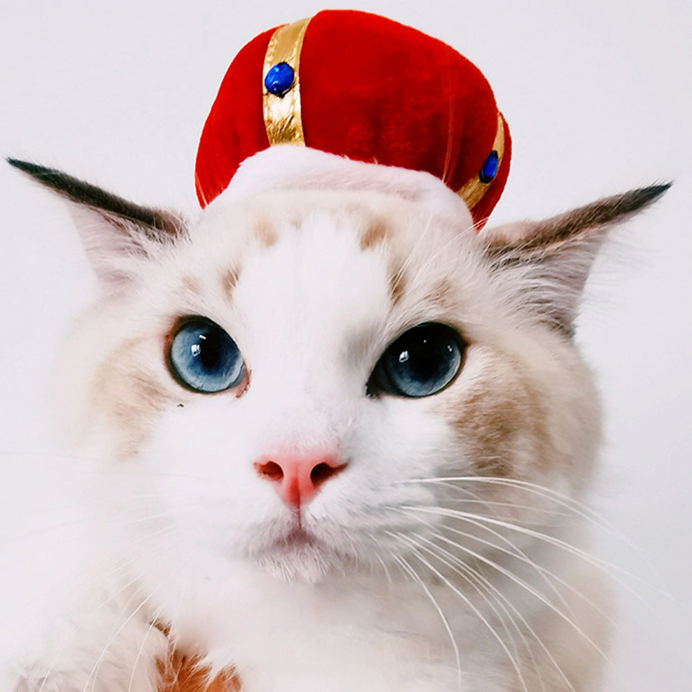 Chapeau de compagnie pour cheveux bouclés, chat, déguisement amusant, produits pour animaux de compagnie