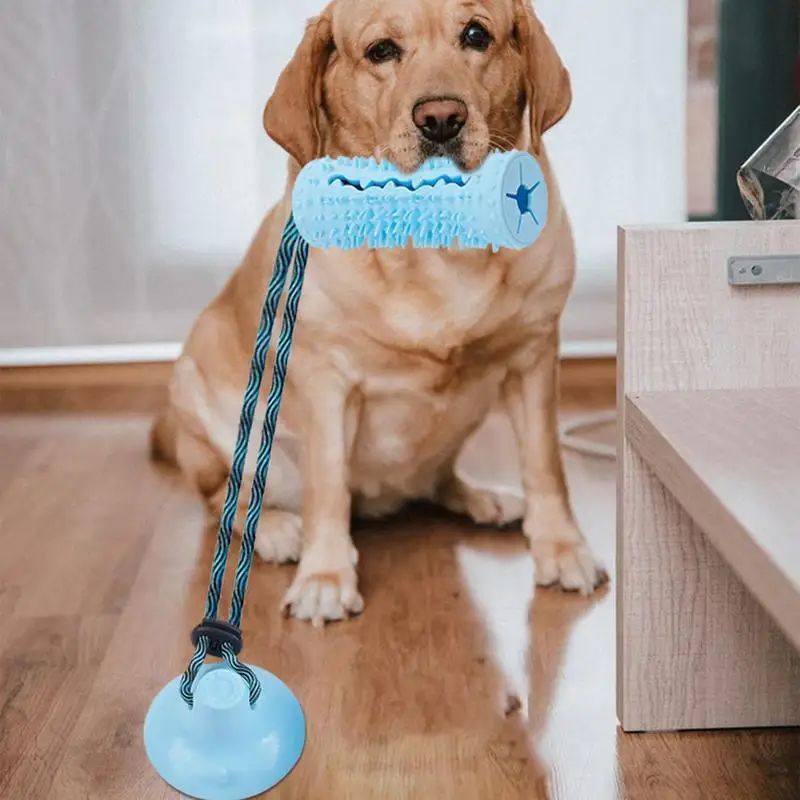 Jouets à mâcher pour chiens, balles pour mâcheurs agressifs, jouet interactif pour chiens, distributeur de friandises, jouet à tirer à ventouse pour le nettoyage des dents des chiens