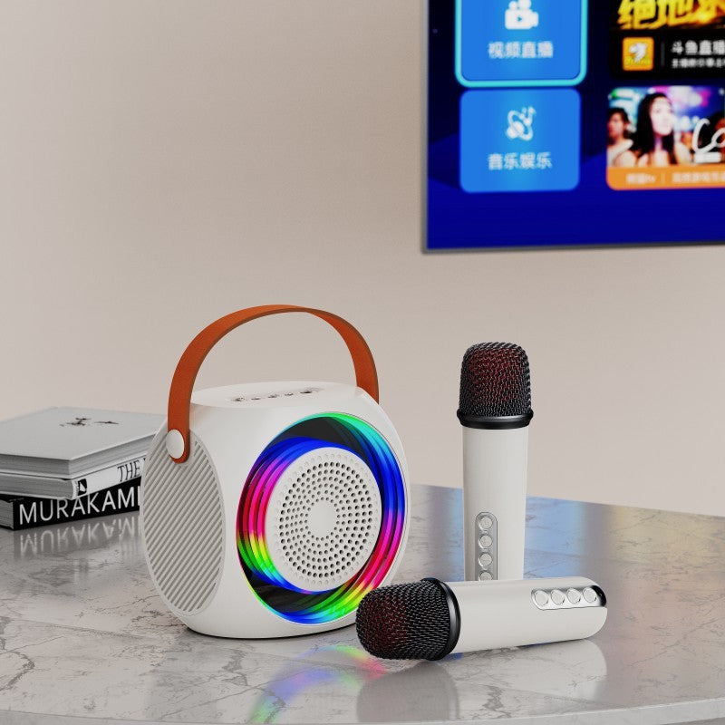 Mini Portable Microphone Audio Integrated