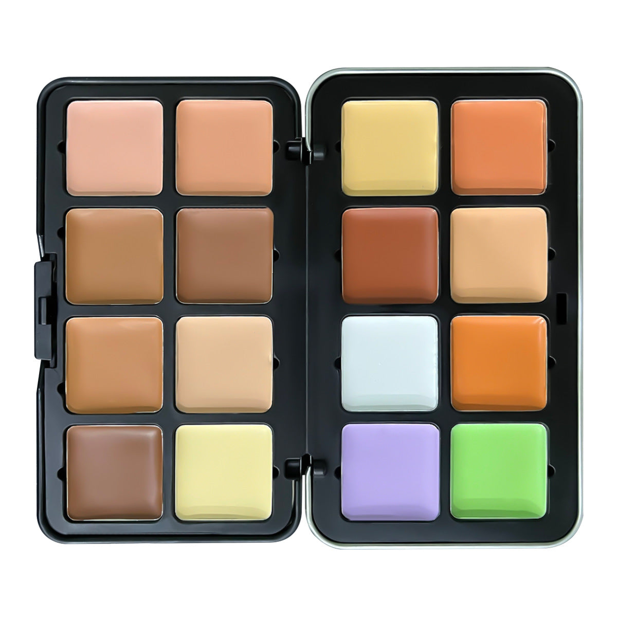 Plaque de fard à joues 12 couleurs chaudes transfrontalière TEMU Amazon, finition mate, chatoyante, très brillante, crème multi-couleurs.