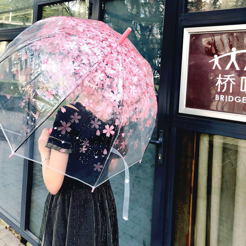 Long Handle Automatic Transparent Umbrella Female Creative Small Fresh