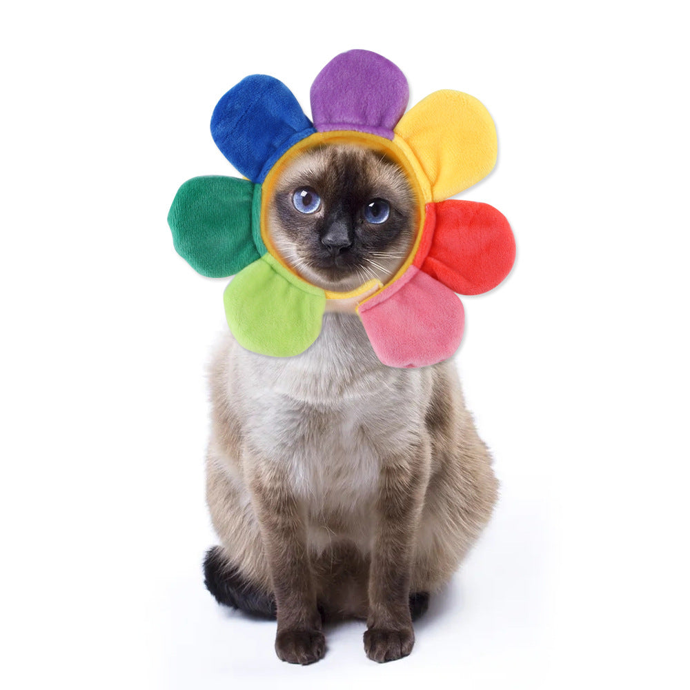 Chapeau de compagnie pour cheveux bouclés, chat, déguisement amusant, produits pour animaux de compagnie