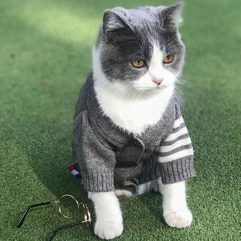 Vêtements pour chien de compagnie – cardigan pull