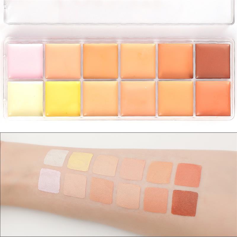 12 Shades Of Concealer Long-Lasting Nude Makeup