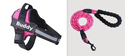 Ensemble Harnais et Laisse pour Animaux de Compagnie, Design Simple et Tendance