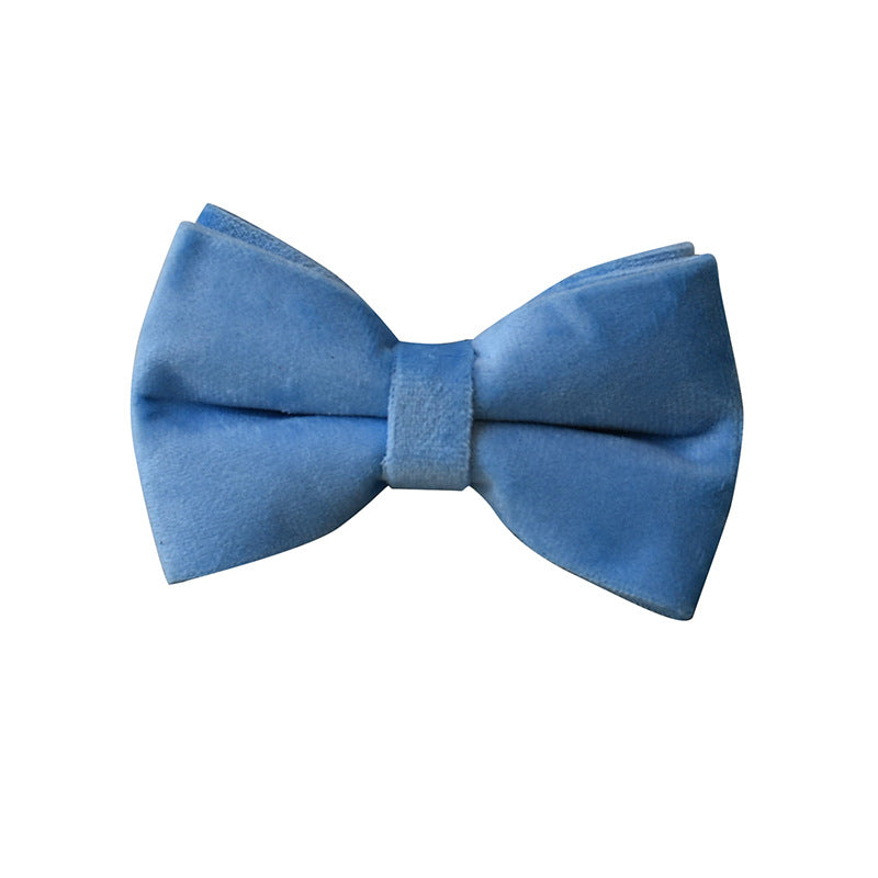Collier pour chien en velours bleu Laisse pour chien Collier pour animaux de compagnie