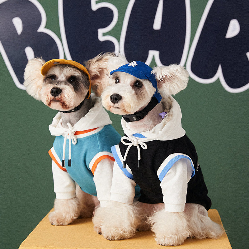 Pull pour animaux de compagnie style deux pièces fantaisie avec coutures contrastées