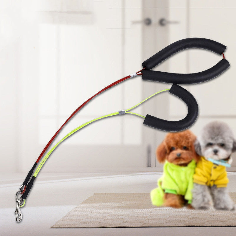 Support de table de toilettage universel pour chats et chiens