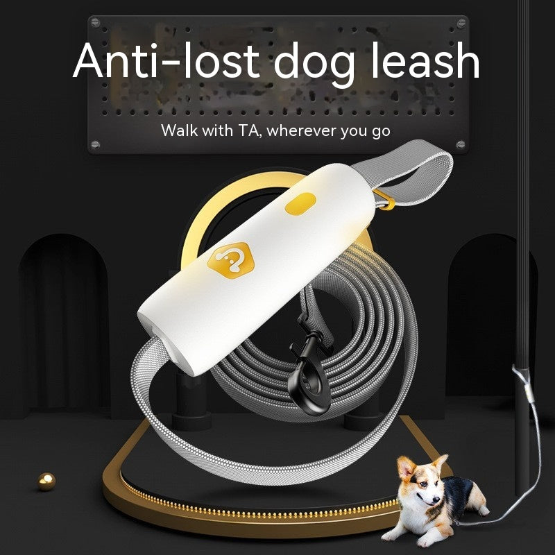 Laisse extensible pour petit et moyen chien, à tenir à la main