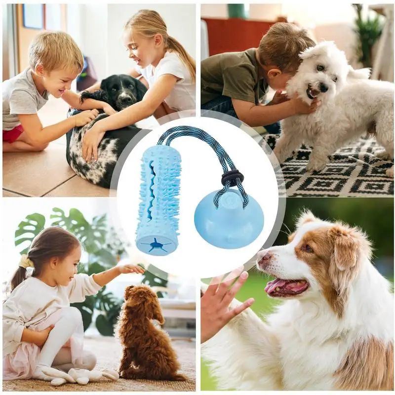 Jouets à mâcher pour chiens, balles pour mâcheurs agressifs, jouet interactif pour chiens, distributeur de friandises, jouet à tirer à ventouse pour le nettoyage des dents des chiens
