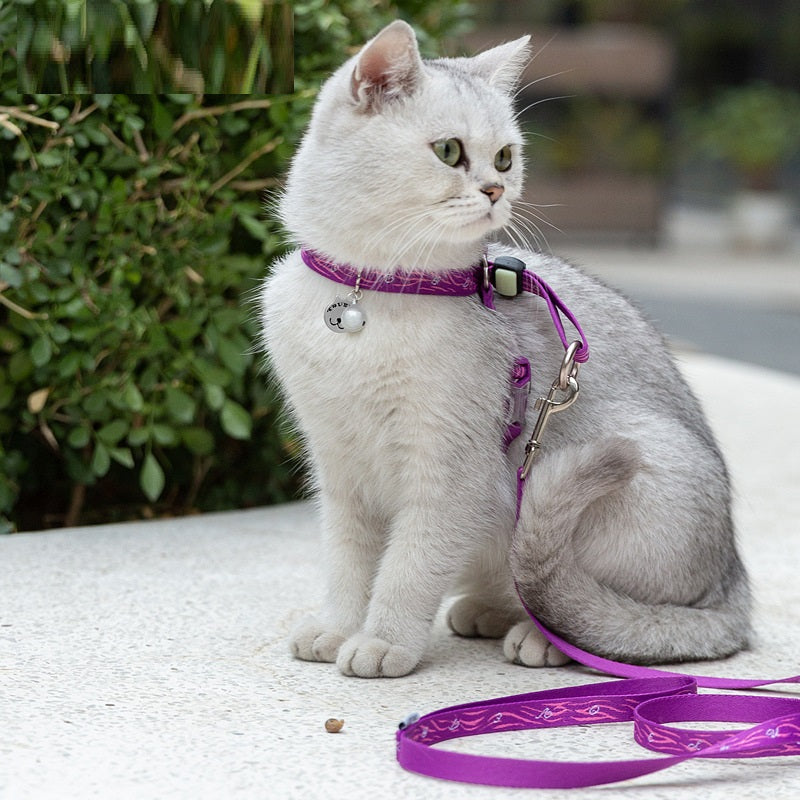 Laisse Harnais Gilet Ceinture de Poitrine pour Chat et Petit Chien avec Clochette et Corde de Traction