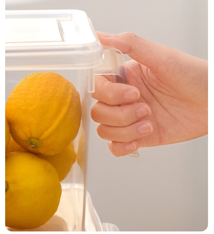 Boîte de Rangement Multicéréales Réfrigérateur Portable avec Poignée
