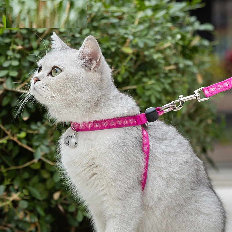Laisse Harnais Gilet Ceinture de Poitrine pour Chat et Petit Chien avec Clochette et Corde de Traction