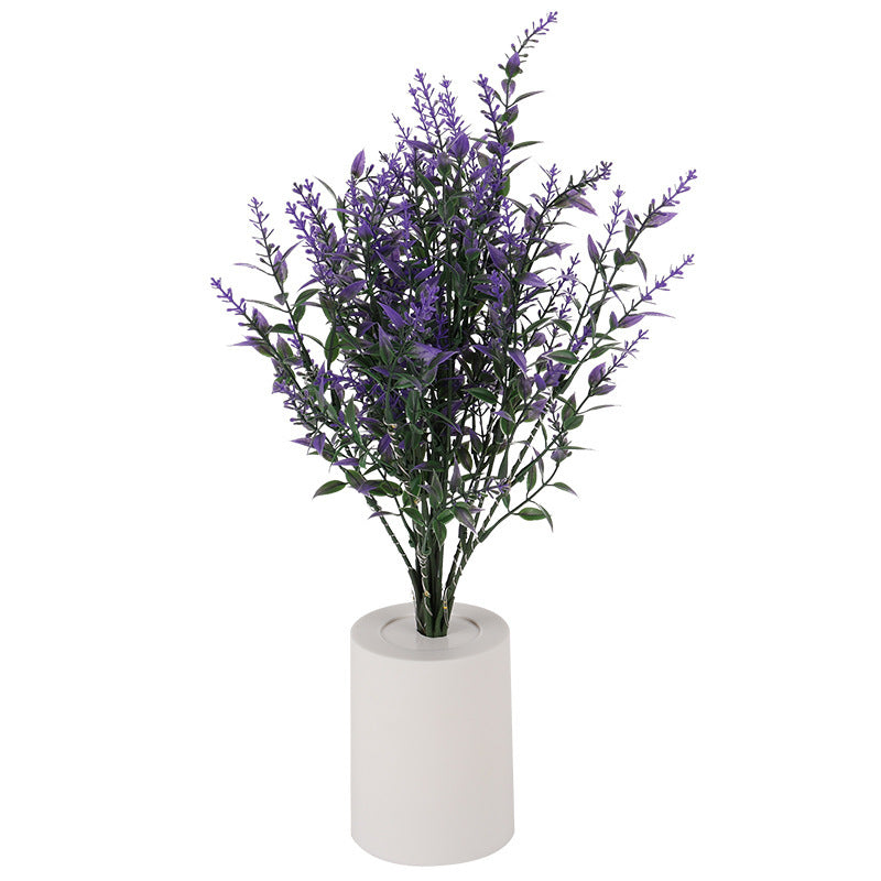 Lampe de chevet petite veilleuse lavande