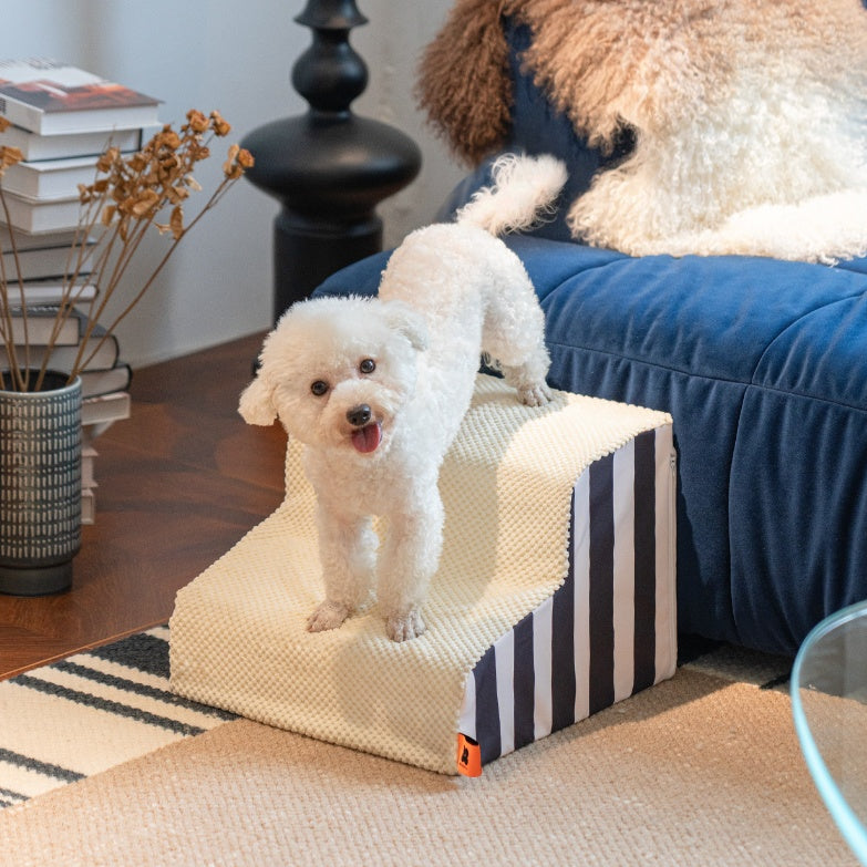 Escaliers pour chiens Pentes de lits Lits Marches pour animaux de compagnie