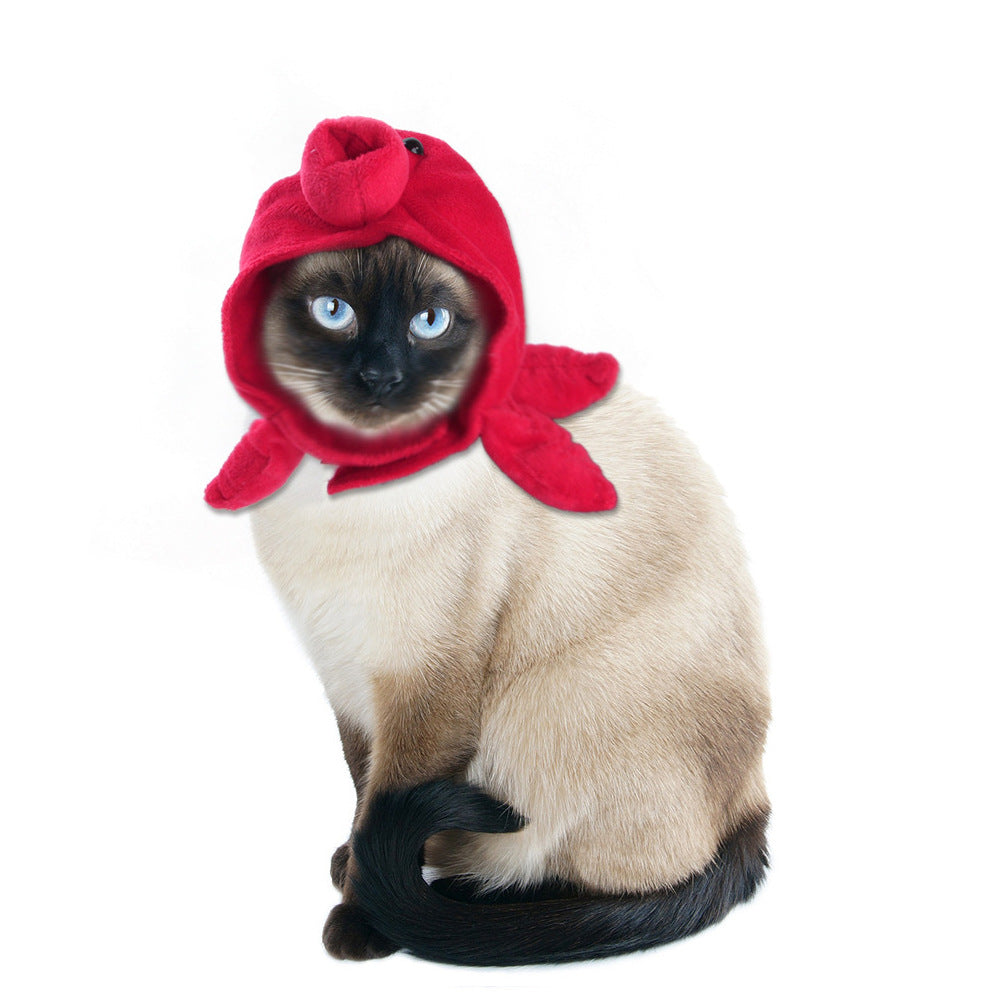 Chapeau de compagnie pour cheveux bouclés, chat, déguisement amusant, produits pour animaux de compagnie
