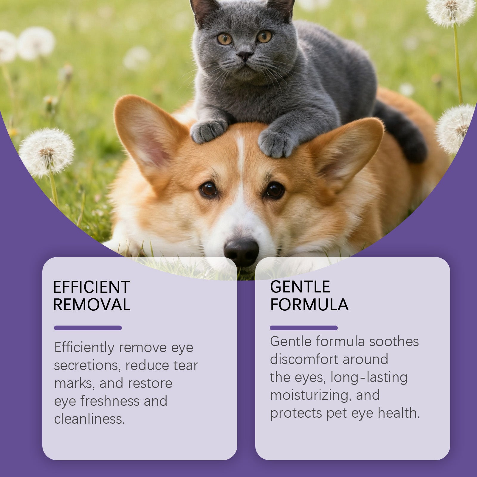 Pet Eye Drops Gently Care For Cats And Dogs' Eye Tear Stains, Tear Marks, And Eye Discharge