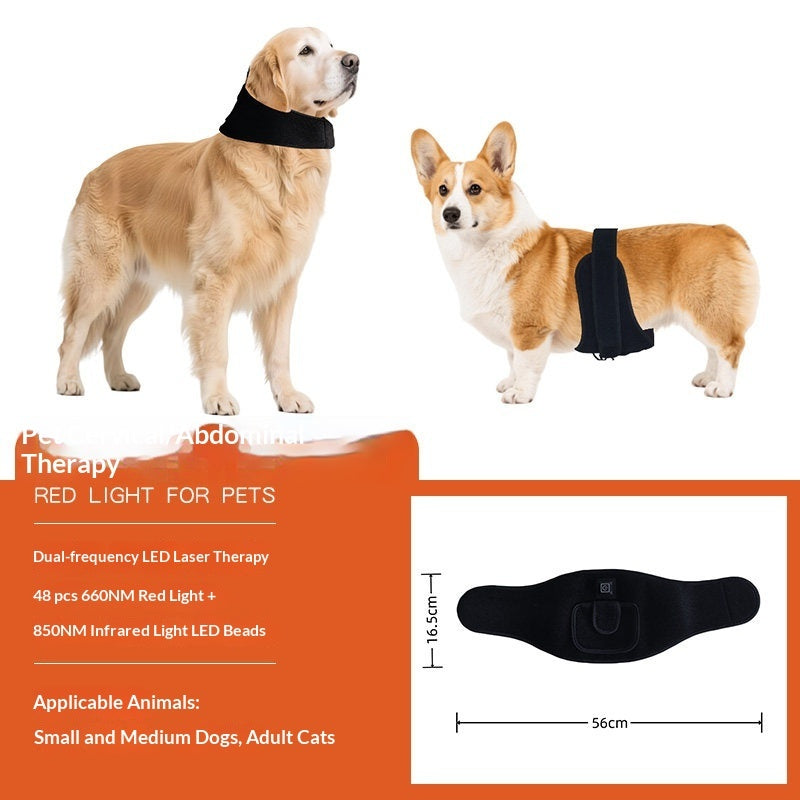 Pet Red Light Physiotherapy Mat For Post-Surgery Recovery Pain Relief And Spinal Care In Cats And Dogs