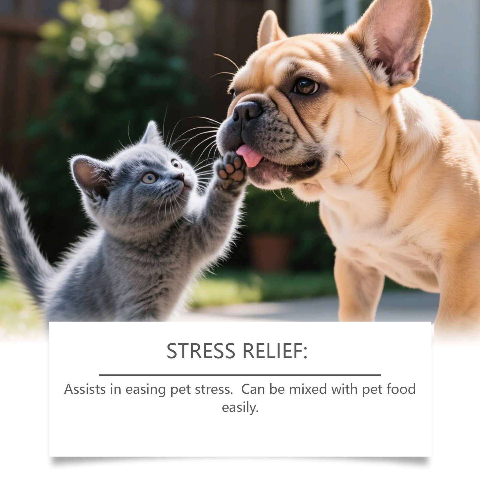 Kriath Pet Cat And Dog Care Drops Gentle, Nourishing, And Soothing Drops For Cats And Dogs, Ideal For Daily Sleep And General Care