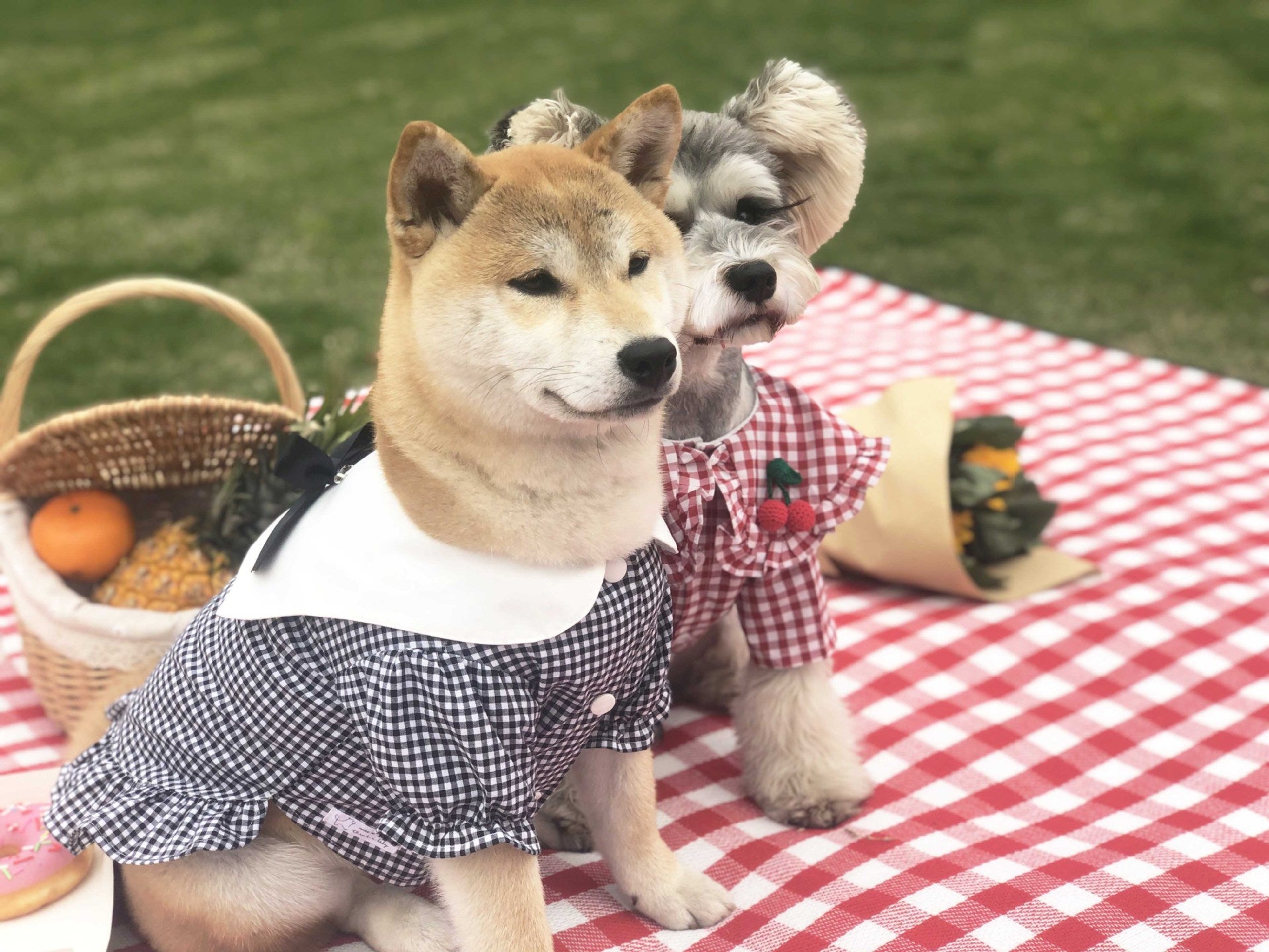 Shirt Tide Pet Clothes