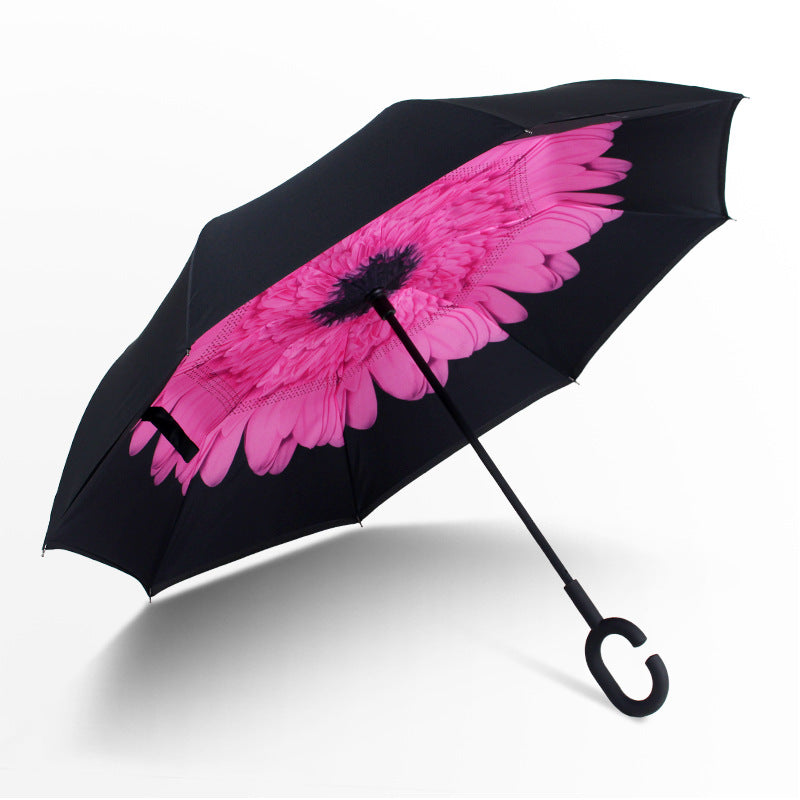 Car reverse umbrella
